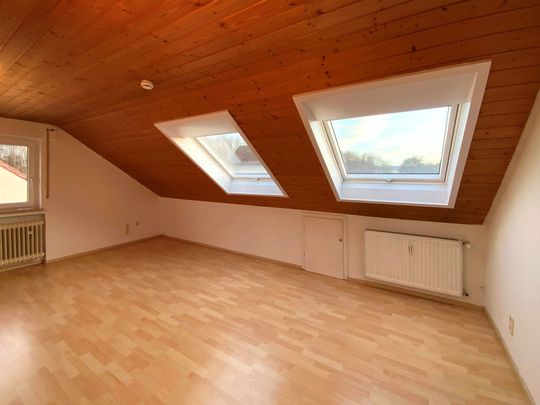 Single ditzingen
